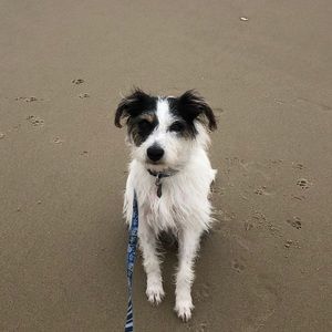 Meet your Posher, Carol